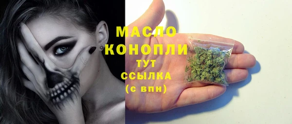 таблы Бородино