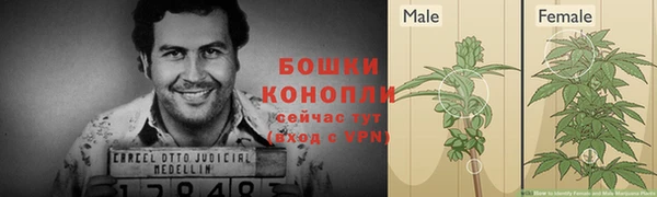 дживик Бронницы