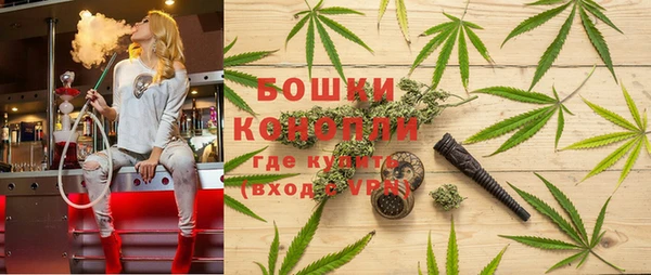 дживик Бронницы