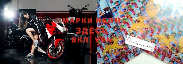 таблы Бородино