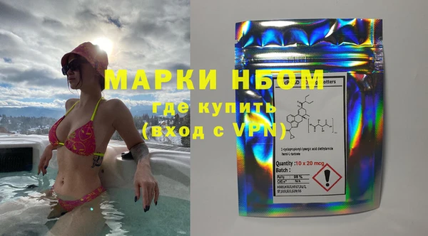 дживик Бронницы