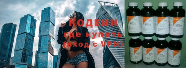 таблы Бородино