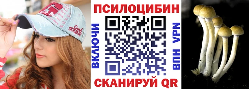 Галлюциногенные грибы Psilocybe  hydra зеркало  Новосокольники 